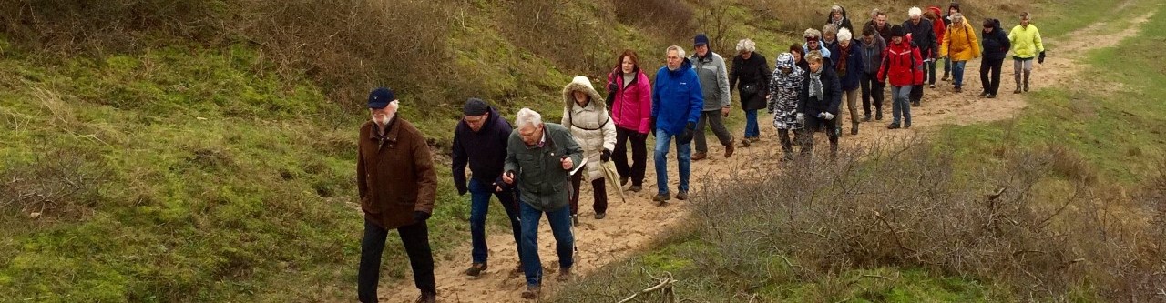 Kom je ook elke 14 dagen met een groep wandelen?